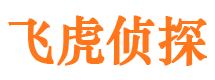 驿城外遇出轨调查取证